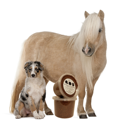 Remedies for itchy dogs, cats & horses