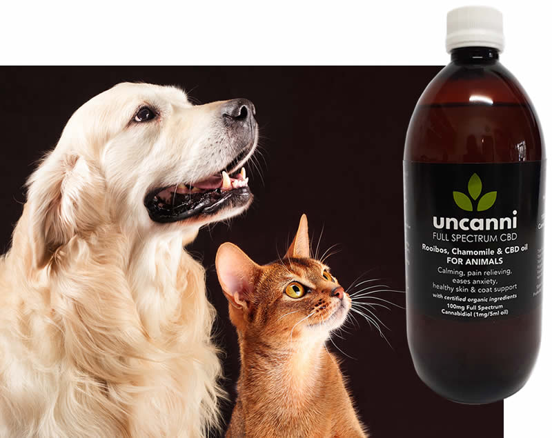 CBD products for all animals
